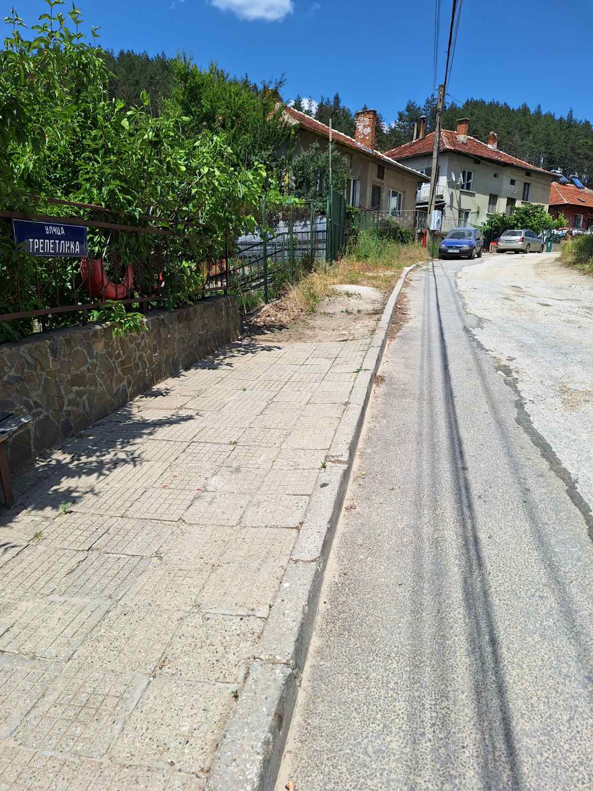 ул. Трепетлика (2)